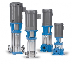 Berkeley Multi-Stage Pumps